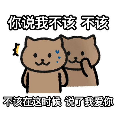 周杰伦歌词猫猫表情包可爱 雨淋湿了天空毁的很讲究