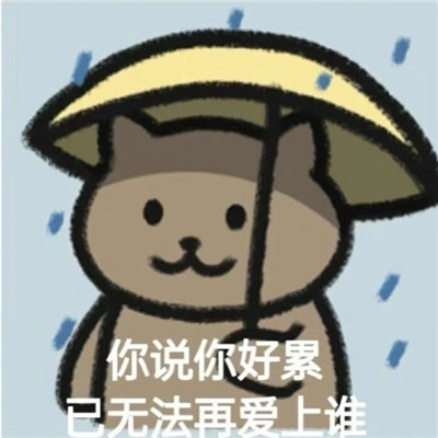 周杰伦歌词猫猫表情包可爱 雨淋湿了天空毁的很讲究