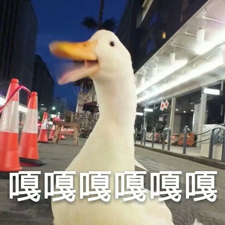 嘎嘎嘎嘎嘎嘎