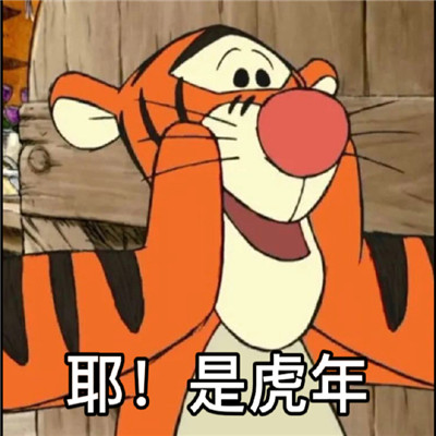 2022虎年俏皮的可爱的小老虎表情 2022虎力全开可爱的表情合集