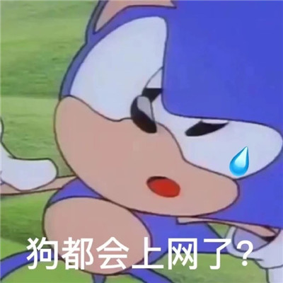 趣味又好笑的聊天表情包无水印 心情写在脸上表情包