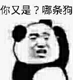 你又是?哪条狗