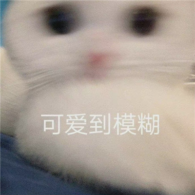 2022微信聊天表情超级的个性 拜拜您嘞搞笑聊天表情