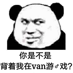 你是不是背着我玩van游戏？