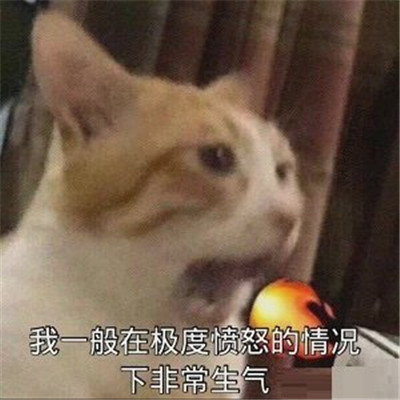 很有趣味的很火的个性表情搞笑 这福气给你要不要啊