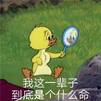 弱小可怜又无助的表情包 超级有趣的热门聊天表情大全