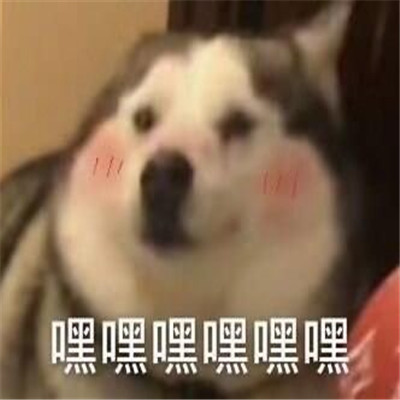 超级萌超级可爱的表情最新版 喝杯热水一切都会好的