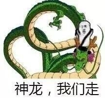 神龙；我们走