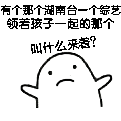 有个那个湖南台一个综艺，领着孩子一起的那个叫什么来着？