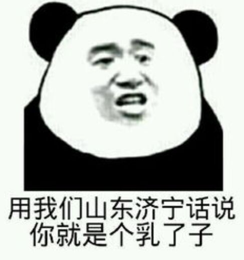 用我们山东济宁话说你就是个乳了子