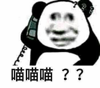 喵喵喵？？