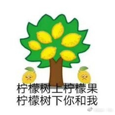 很酸的柠檬精表情包 一只柠檬精悄悄经过