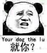 就你？（your dog the lu）