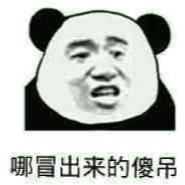 哪儿冒出来的傻吊！