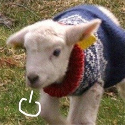 2021最新叹气无奈表情包 2021最火的表情包