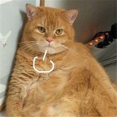 2021最新叹气无奈表情包 2021最火的表情包