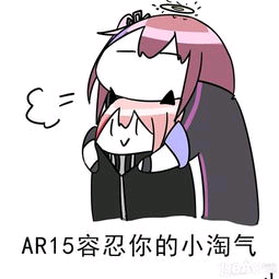 AR15容忍你的小淘气