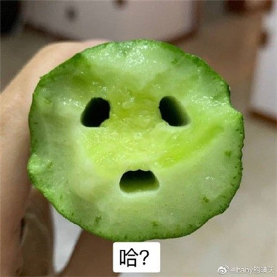 微博精选的全网在用的黄瓜表情包合集 火遍全网的黄瓜表情包