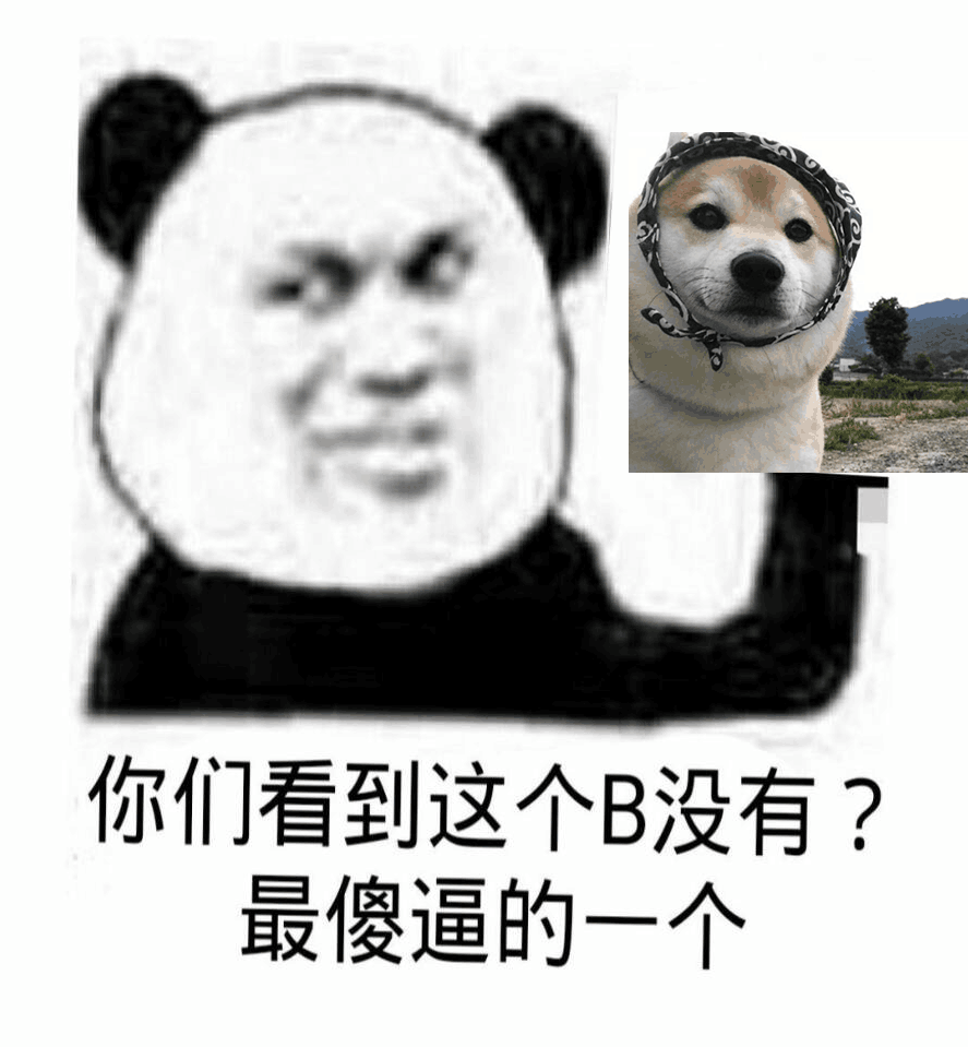 你们看到这个B没有？最傻逼的一个