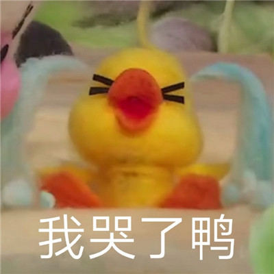 最近很火的微信鸭鸭表情包 小黄鸭表情包今天做自己