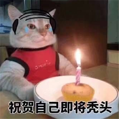 抖音最火生日快乐表情包 生日祝福表情包可爱搞笑