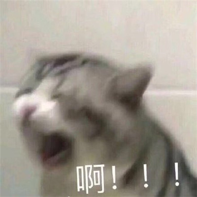 哄女朋友表情包可爱 低头认错表情包超萌