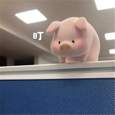 哄女朋友表情包可爱 低头认错表情包超萌