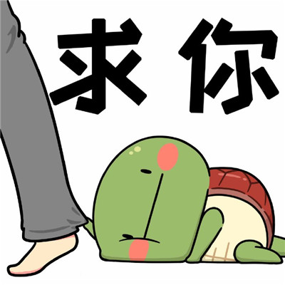 绿崽乌龟表情包大全 绿头王八表情包卡通可爱