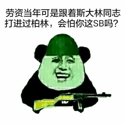 劳资当年可是跟着斯大林同志打进过柏林，会怕你这SB吗？