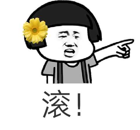 滚！（头戴菊花）