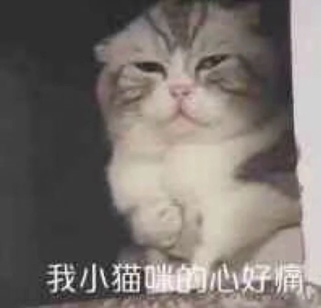 我小猫的心好痛