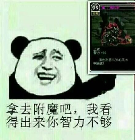 拿去附魔吧，我看得出来你智力不够