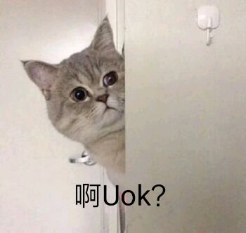 啊Uok？