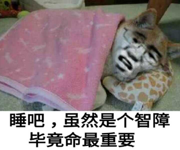 睡吧，虽然是个智障毕竟命最重要