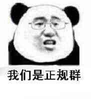 我们是正规群