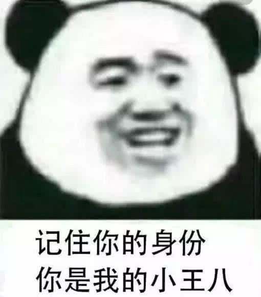 记住你的身份你是我的小王八