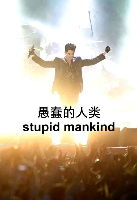 愚蠢的人类（stupid mankind）