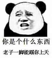 你是个什么东西，老子一脚能踢你上天