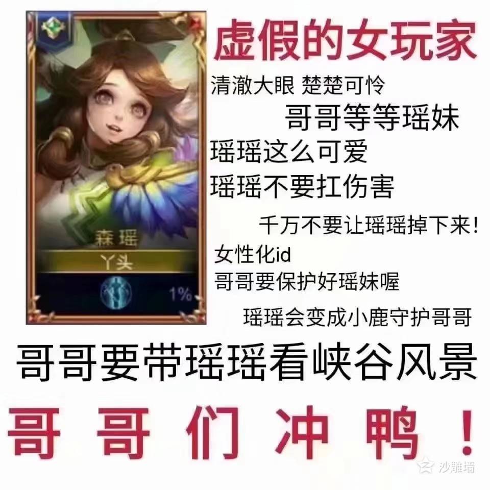 虚假的女玩家