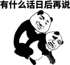 有什么话日后再说