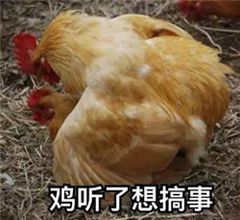 鸡听了想搞事