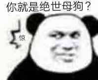 你就是绝世母狗？惊