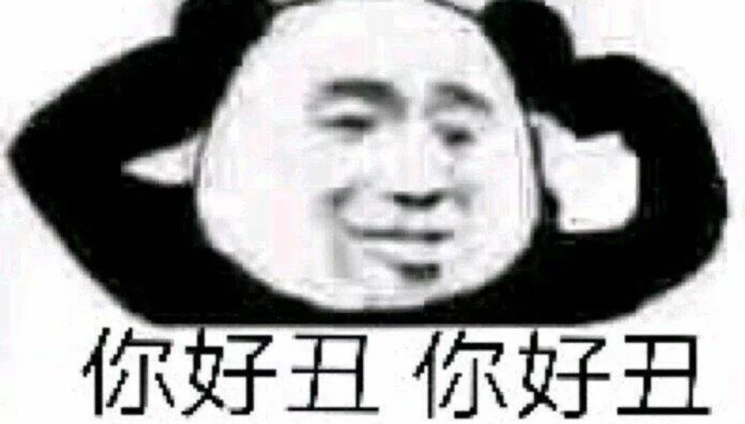 你好丑你好丑