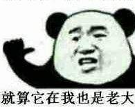 就算它在我也是老大