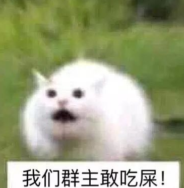 我们群主敢吃屎！