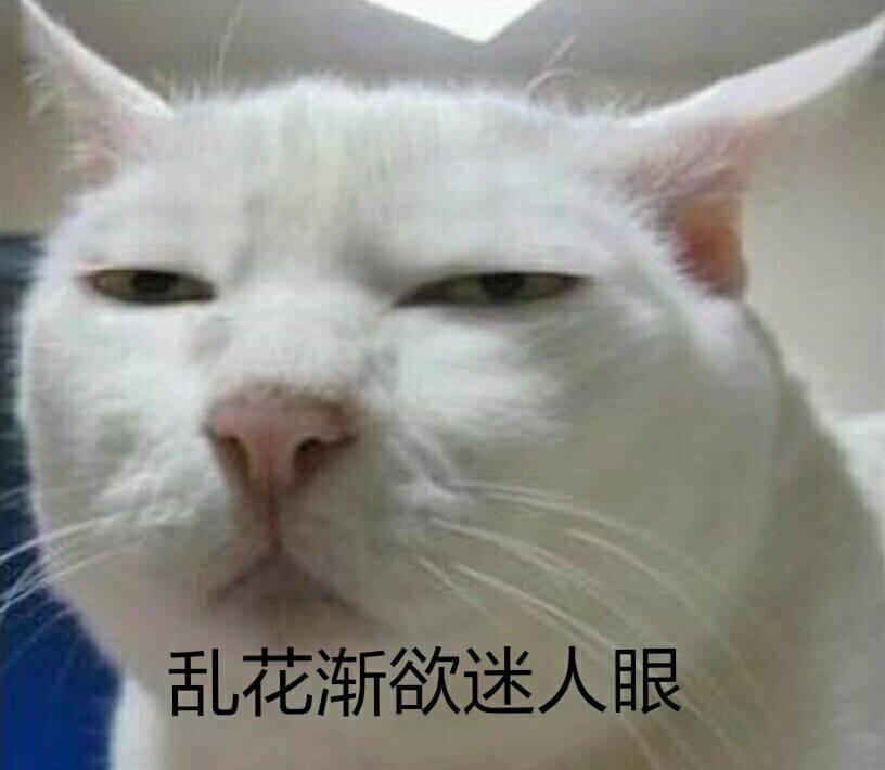 乱花渐欲迷人眼