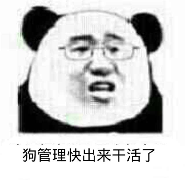 狗管理快出来干活了