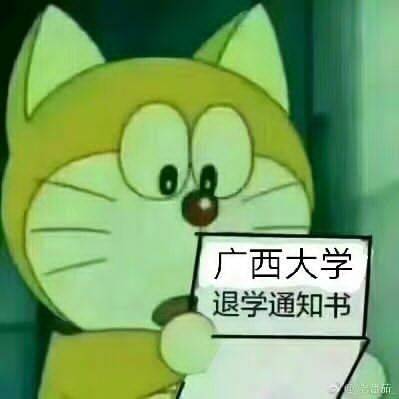 广西大学退学通知书