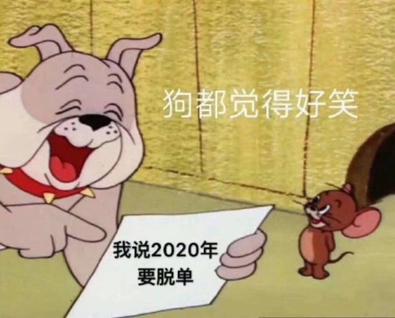 狗都觉得好笑，我说2020年要脱单