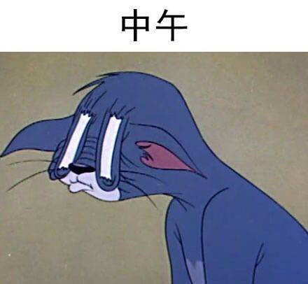 中午困了